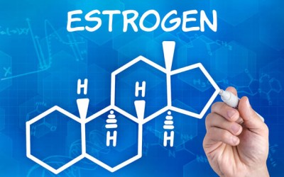 Why is Anti-Estrogen Therapy Important?